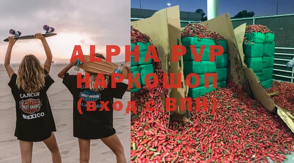 хмурый Гусев