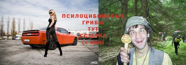 хмурый Гусев