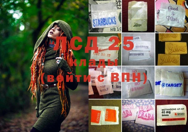 хмурый Гусев