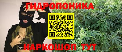 ГАЛЛЮЦИНОГЕННЫЕ ГРИБЫ Аргун