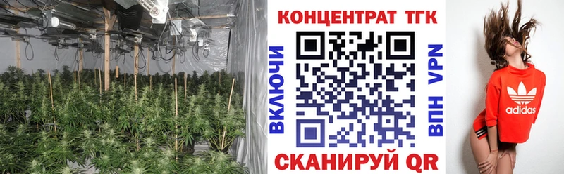 где продают наркотики  kraken зеркало  ТГК THC oil  Наро-Фоминск 