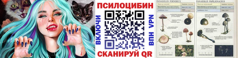 Псилоцибиновые грибы MAGIC MUSHROOMS  Наро-Фоминск 