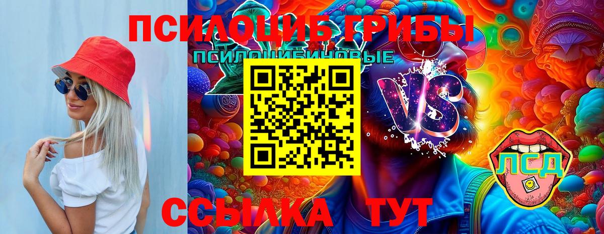 Псилоцибиновые грибы Cubensis Наро-Фоминск