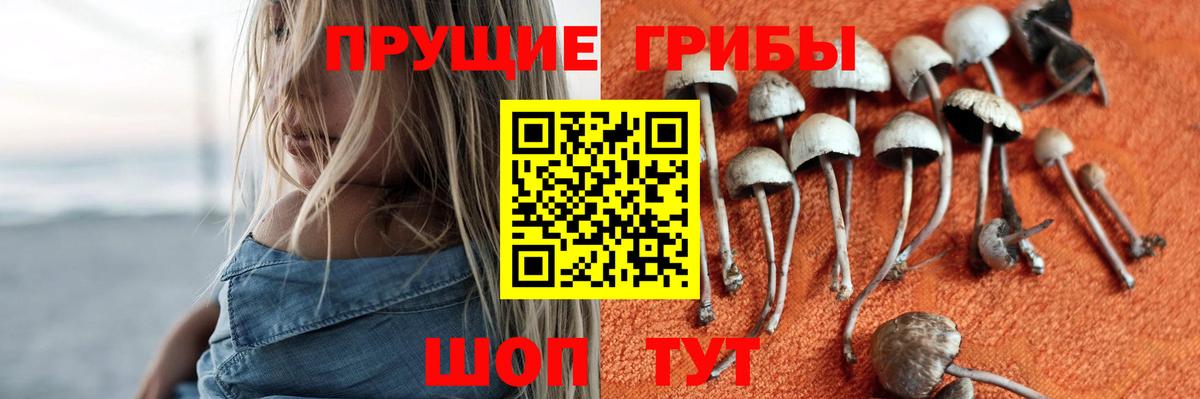 Псилоцибиновые грибы прущие грибы  хочу наркоту  Наро-Фоминск 
